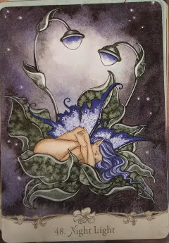 Fairy Wisdom Oracle